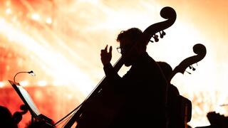 <a href="/tin-tuc" title="Tin tức" rel="dofollow">Tin tức</a>